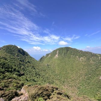 高低差がありましたが、東峰の稜線に出ました。ここから東峰までは草木が茂っていたものの恐い場所はありませんでした。