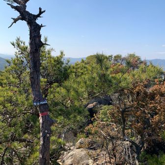 山頂から対岸に見えていた第2ピークに到着🔺