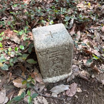 三角点に行ってみました