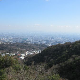 開けた所の出ます