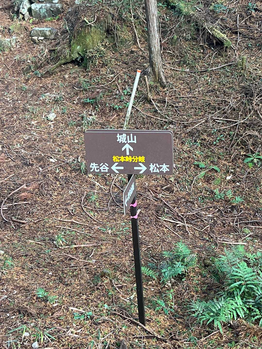 天神神社登山口-女夫山-松本峠-城山 往復コースの写真