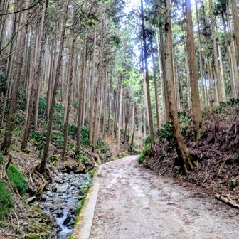 空気が凛としてる