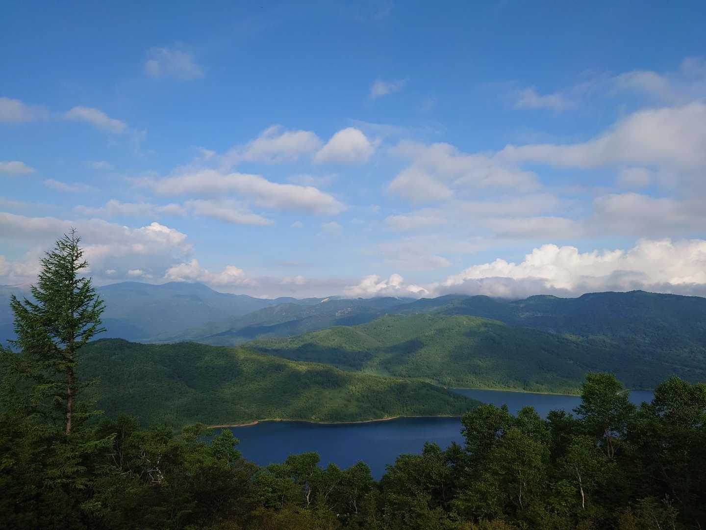 富士見峠-八間山 往復コースの写真