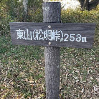 分岐を間違えたので、少し戻って急登😓
無事に登頂‼️