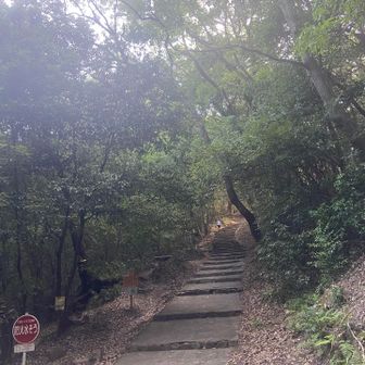 よく整備された山道