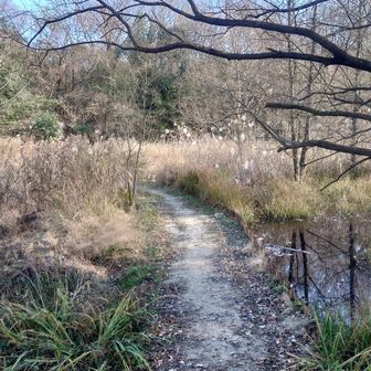 おんか山ここから行きます
