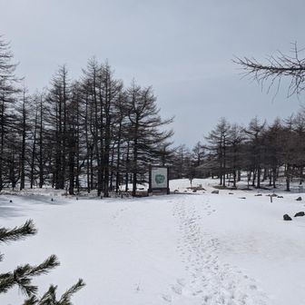 池の平湿原　夏は植物の宝庫だそう☺️
夏にも来てみたい