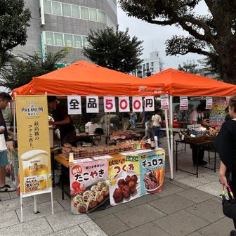 誘惑に抗うのにゃ…！