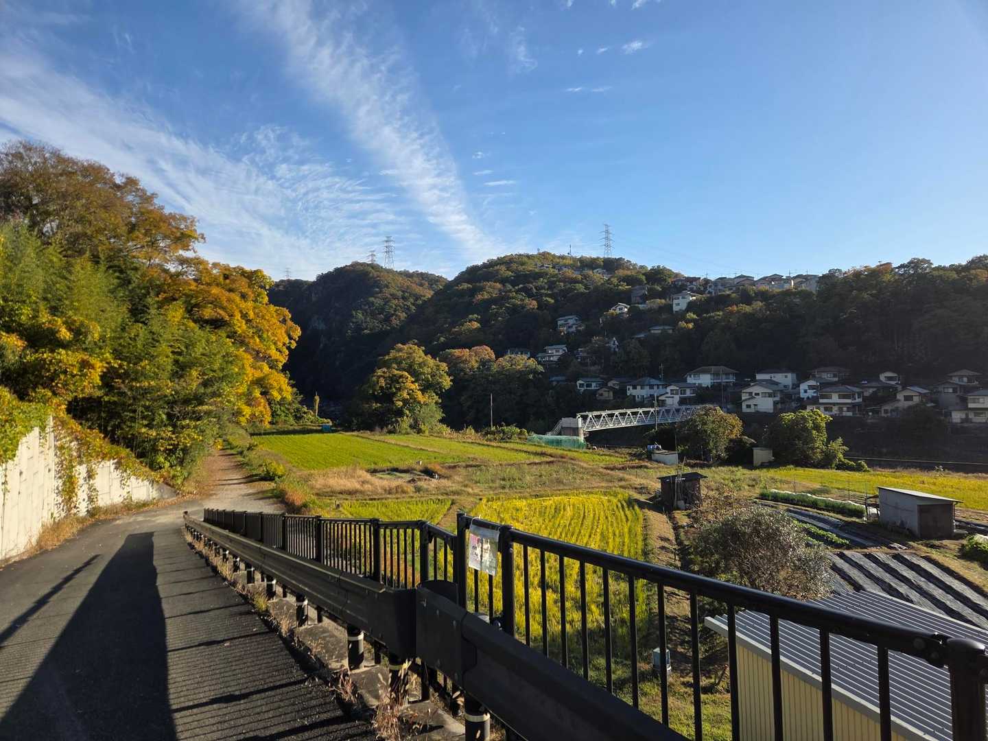 のどかで良いですね😃