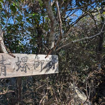 ここまで激下り急下りで、撮影忘れる…