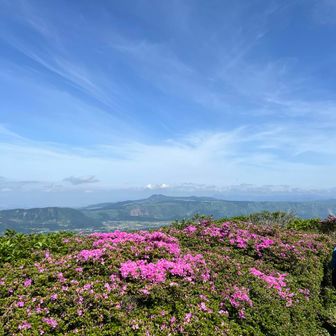 ラビットさとちゃん