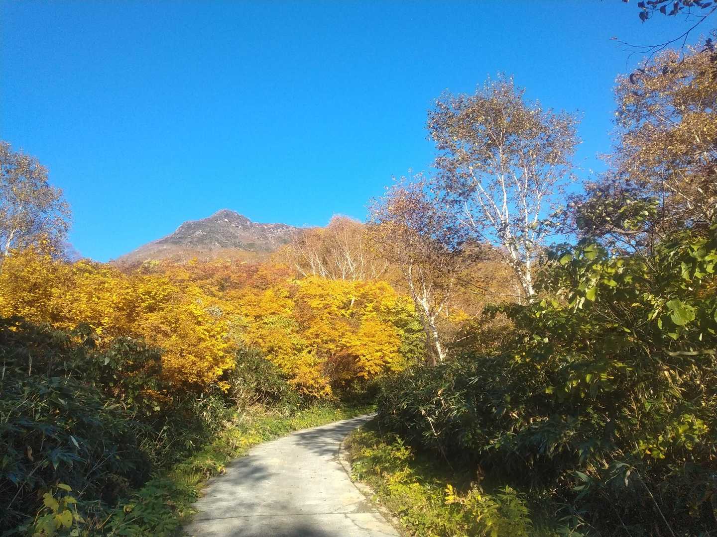 オレンジ🍊がキレイ。北峰が木とかぶってしまった。