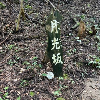中々の山道を進んでいきます