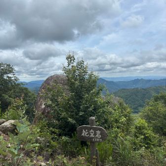 花文岩