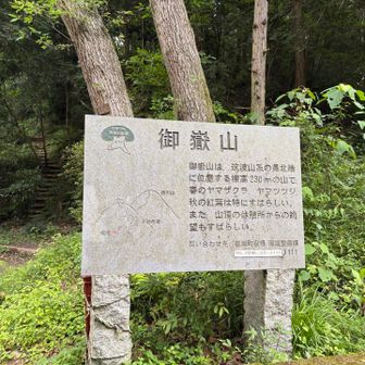 どっちなのか、ふりがなを振ってほしい…
