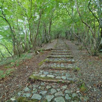 ここを歩いて山頂へ。