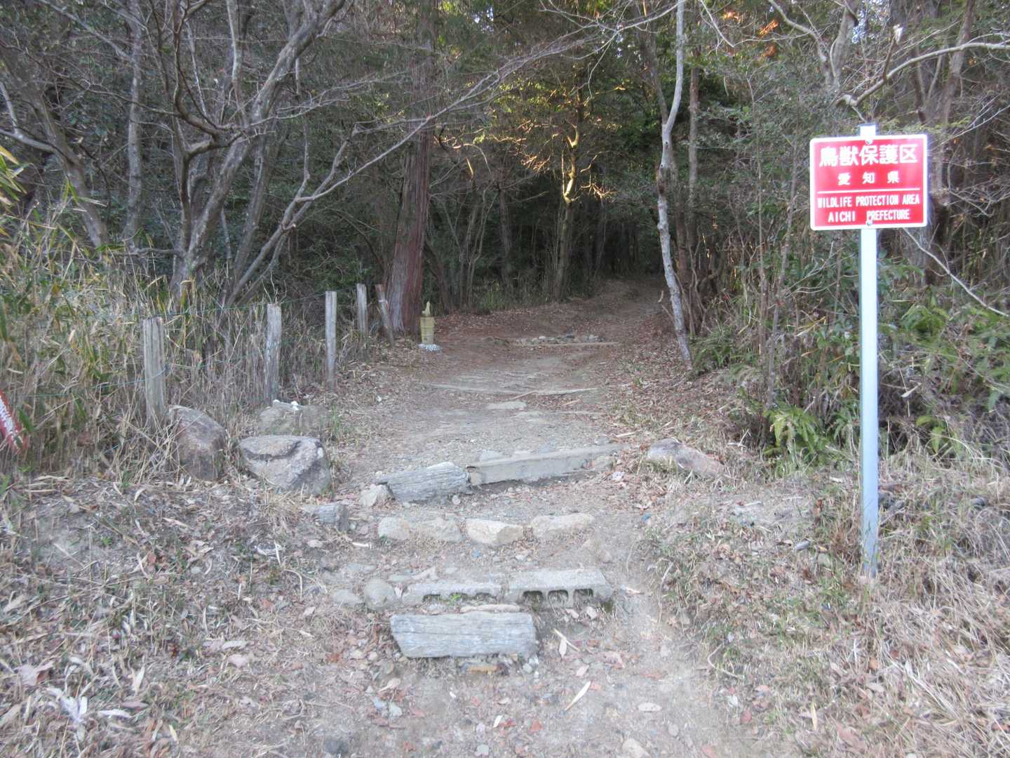 ここから登山道っぽくなる