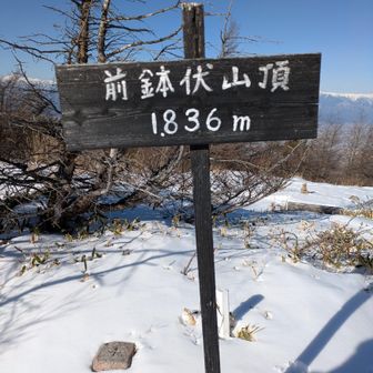 昨日は霞んでたけど