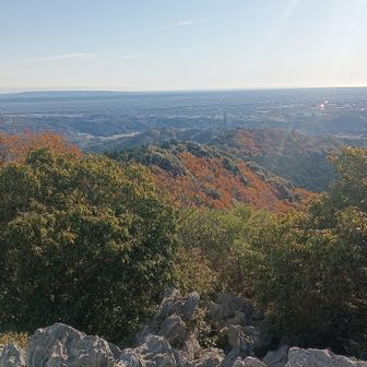 紅葉が眼下に観えるね🍁