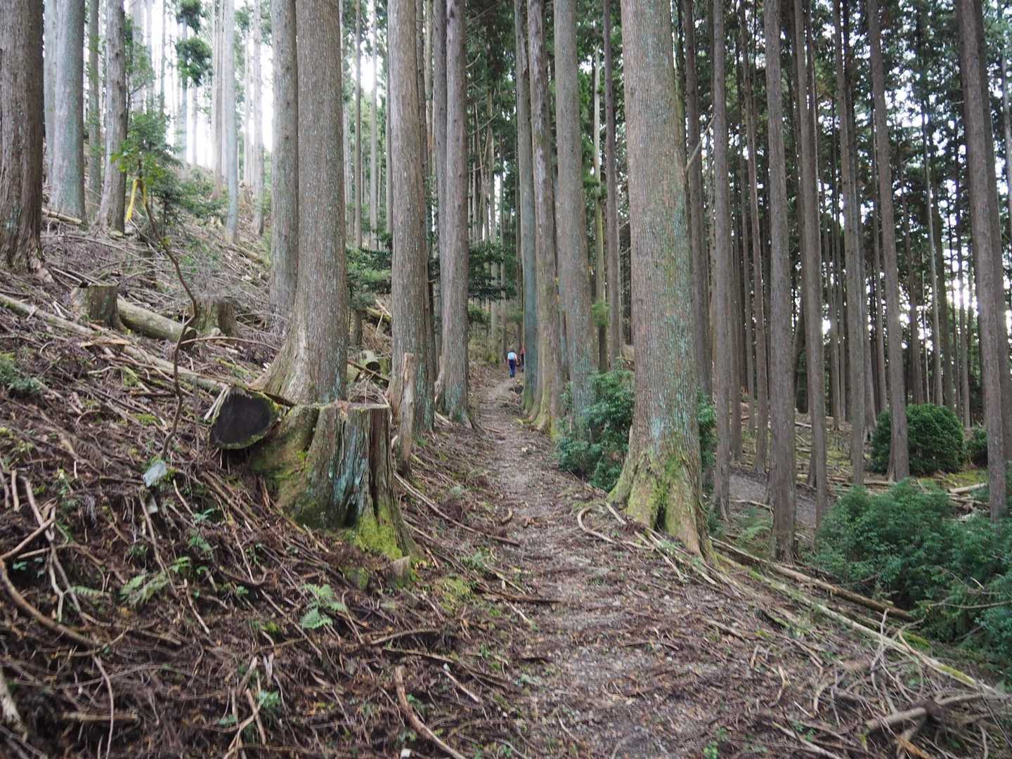 あっという間に遅れちゃった😝