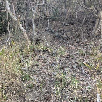 ずっと急斜面を登る
ピンテはほんの時々出てくる感じ

崖登り、正直誰でも行けるという感じではなかったので、この辺で不安感を覚えるなら通常ルートに回るべき