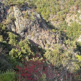 遠見山の岩肌、チャート、地層がむき出しで、岩を感じました🪨
