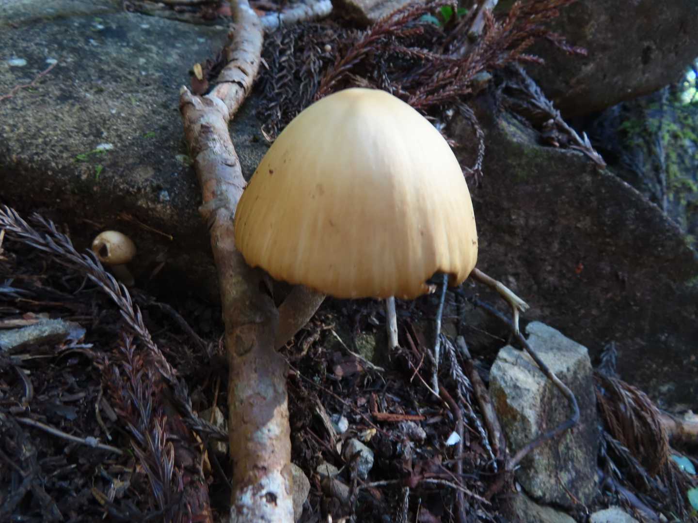 ？