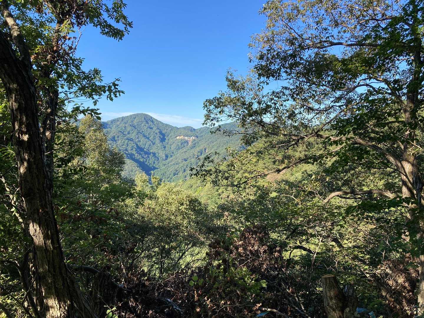 鞍掛山