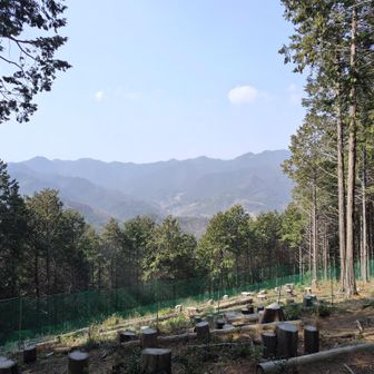 あの稜線の反対側が、西武沿線のようです。