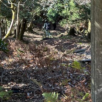 凄い勢いだぁ〜🤣
辛うじて、走り下る姿を…🤳
足場の悪い急坂なれど…🏃‍♀️🏃‍♀️
☘️kurara☘️さんの姿をやっとこさ…👀