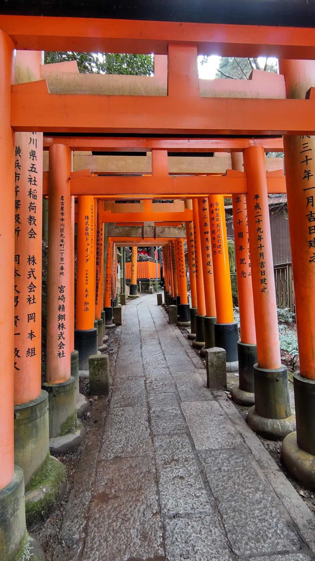 伏見稲荷大社-熊鷹社-稲荷山-東福寺駅 縦走コースの写真