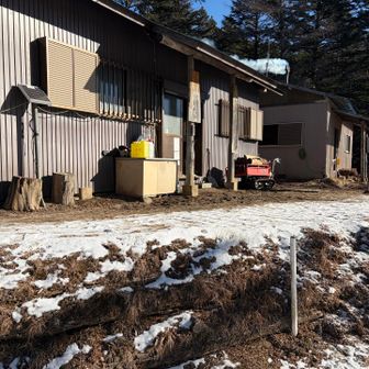 笠取小屋開いてました。みなさん中で暖を取られていました