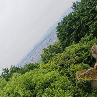 夫婦岩