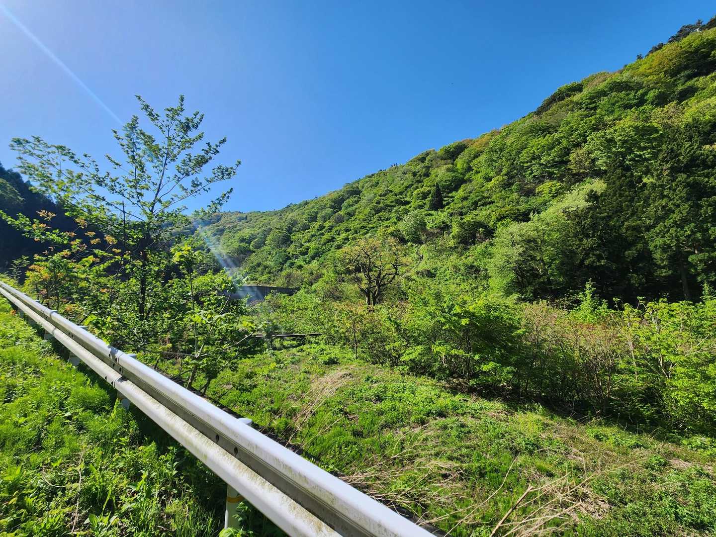 あとは"林道歩き"で🅿🚗「小山田彼岸桜樹林駐車場」まで戻ります🙂｡