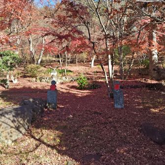 特別に和田美術館に入れてもらいました。