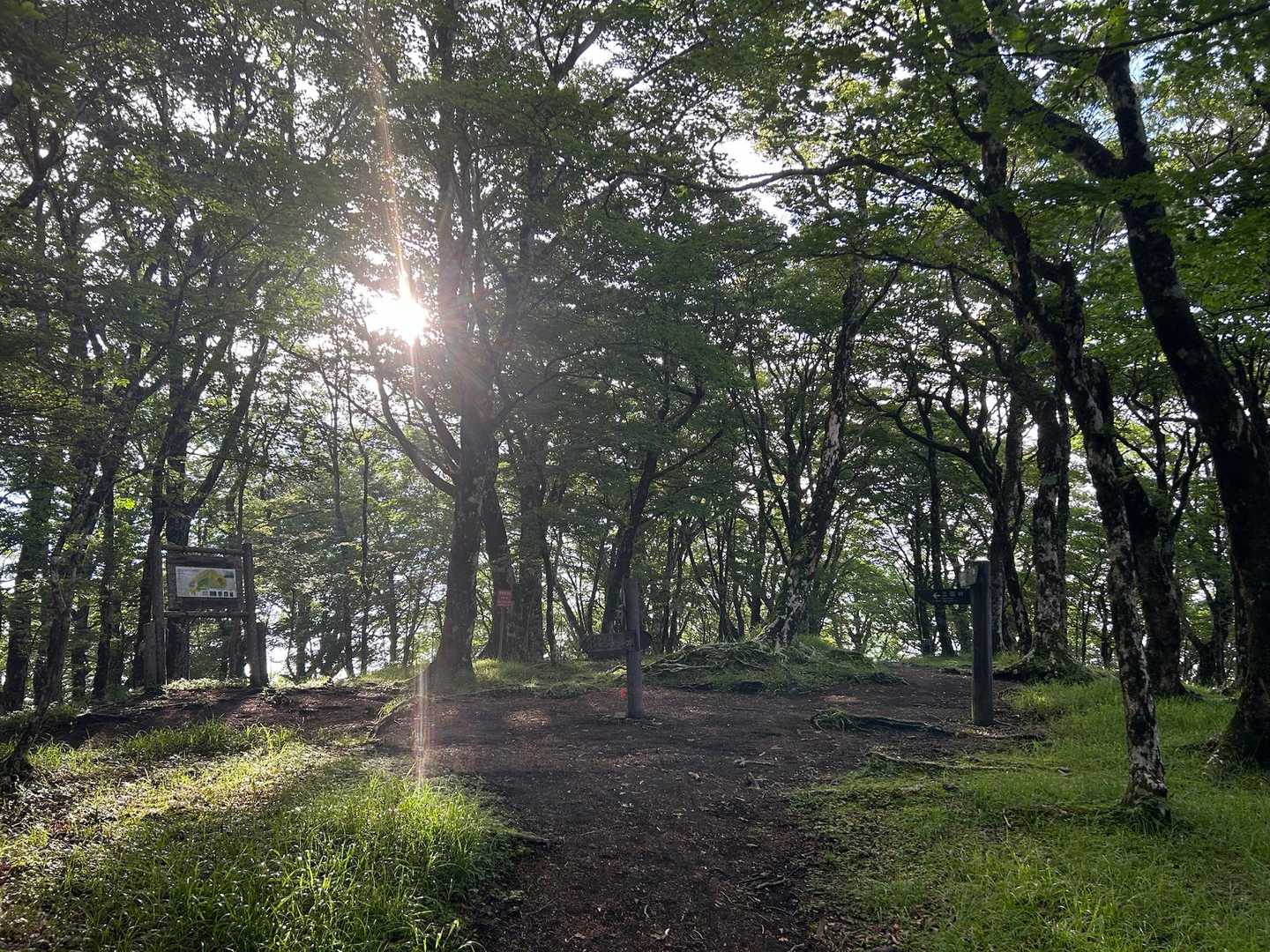 三国山に戻ってきた
ここまですれ違い6組
みんな富士箱根トレイルかな？