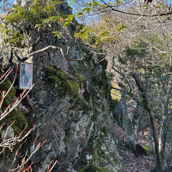 このあたりは岩が多かったです