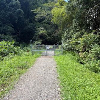 お疲れ様山