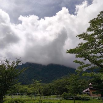 下りてきた戸隠山はこの通り山頂付近は雲の中🌫️