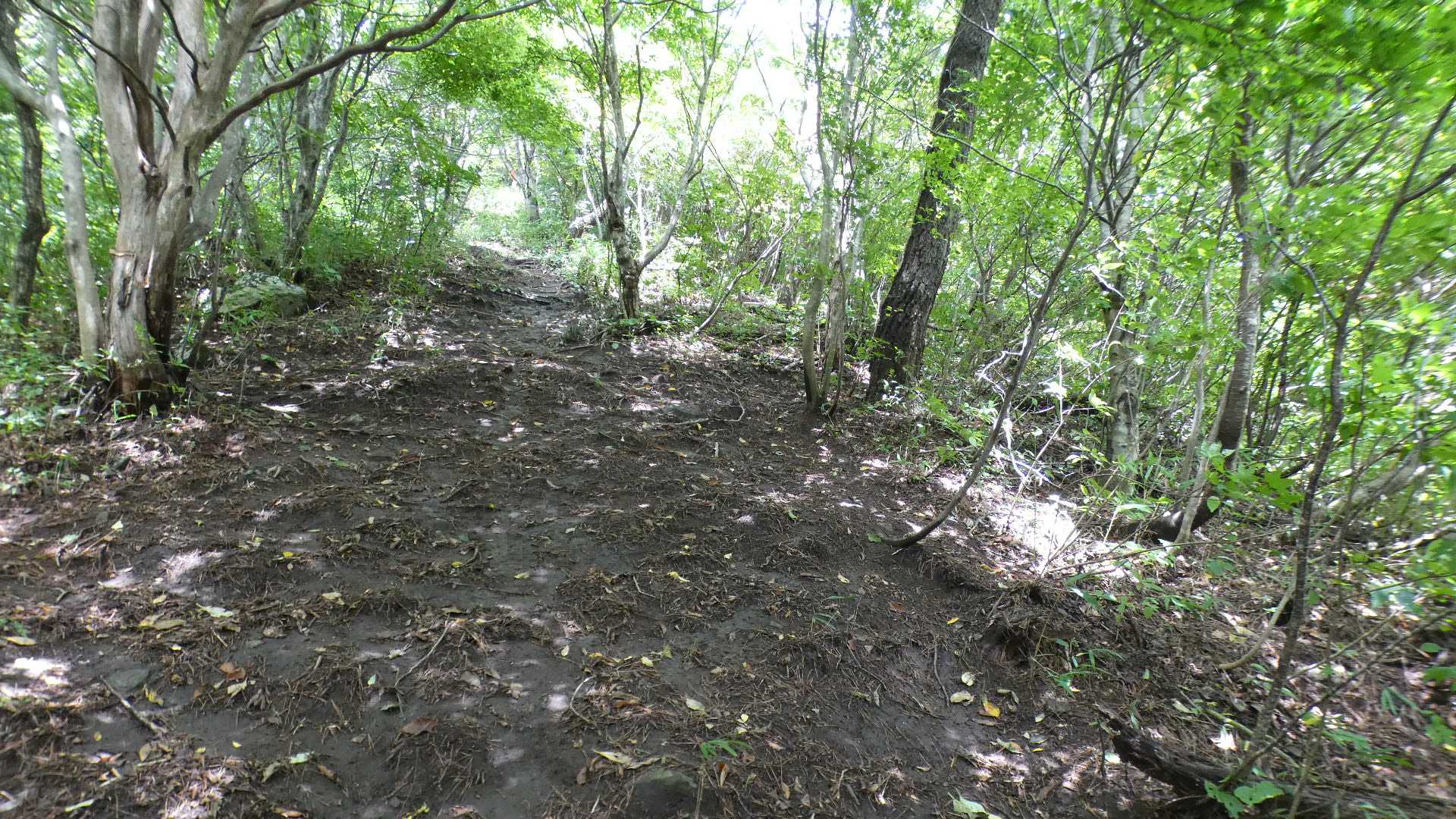 登りながらも足が滑る急傾斜