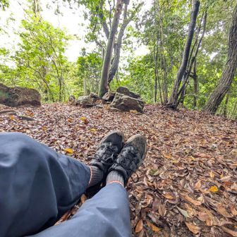 十方山。
水無瀬の滝側に下っても何も無いので戻ります。