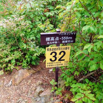 斑根石山(ハンネイシヤマ)
展望地らしいが今日は不展望

32は緊急時現在地番号ですが、今日の駐車場に近付いてカウントダウンしています。
励みになります。