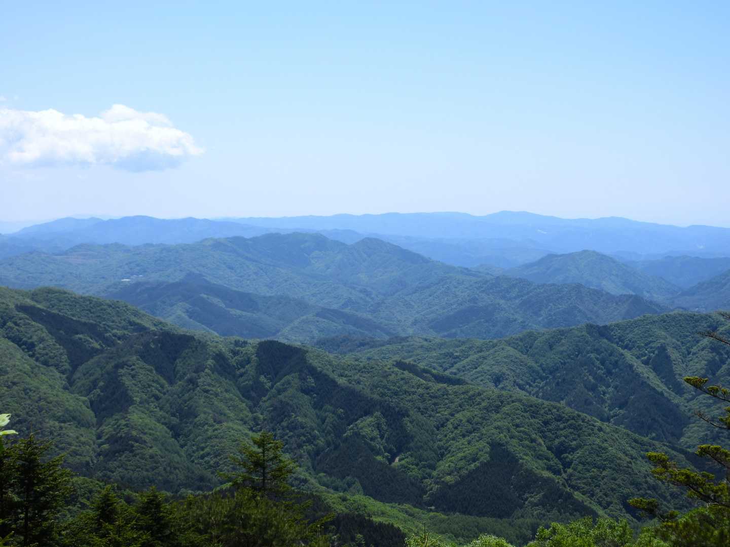 いい景色