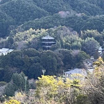 當麻寺も見えます⭐️