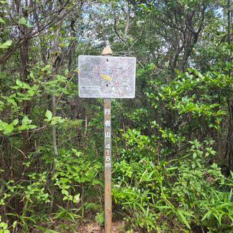 行者山山頂
景色はありませんでした