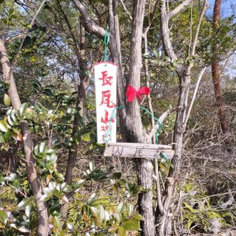 長尾山登頂⤴️