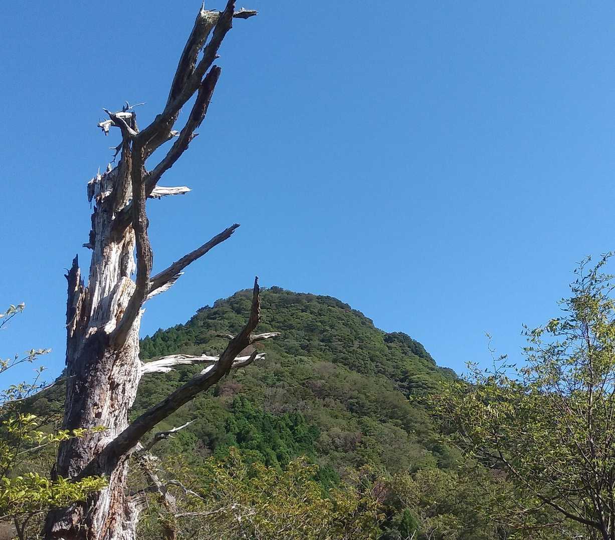 いつ見ても綺麗なお山!(^^)!