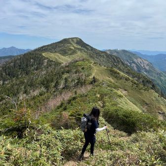 裏岩菅山への気持ちのいい稜線✨

平標山・仙ノ倉に
根子岳・四阿山
四国の剣山
ここも好きな稜線の仲間入りに決定です♪