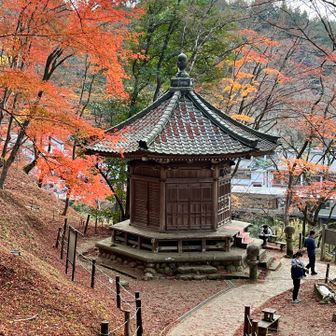太子堂まで来れば駐車場はもうすぐ🥲