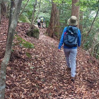 ぽぽちゃん（らいふ）